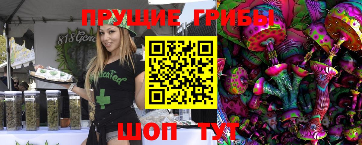 Галлюциногенные грибы MAGIC MUSHROOMS Вологда